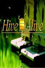 Watch Hive Alive Sockshare