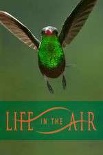 Watch Life in the Air Sockshare
