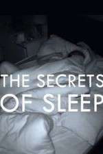 Watch The Secrets of Sleep Sockshare