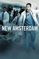 Watch New Amsterdam Sockshare