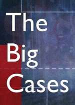 Watch The Big Cases Sockshare