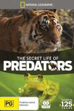 Watch Secret Life of Predators Sockshare