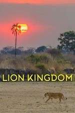 Watch Lion Kingdom Sockshare