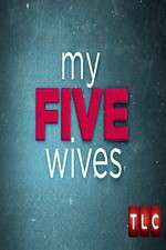 Watch My Five Wives Sockshare