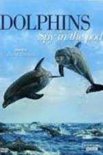 Watch Dolphins: Spy in the Pod Sockshare