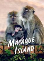 Watch Macaque Island Sockshare
