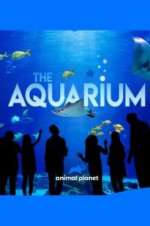 Watch The Aquarium Sockshare