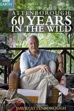 Watch Attenborough 60 Years in the Wild Sockshare