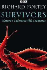 Watch Survivors: Nature's Indestructible Creatures Sockshare