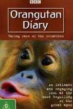 Watch Orangutan Diary Sockshare