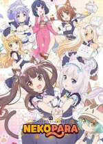 Watch Nekopara Sockshare