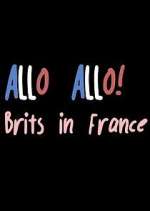 Watch Allo Allo! Brits in France Sockshare