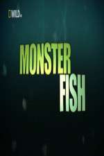 Watch National Geographic Monster Fish Sockshare