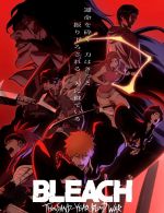 Watch Bleach: Thousand-Year Blood War Sockshare