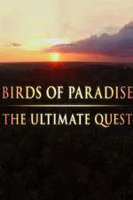 Watch Birds of Paradise: The Ultimate Quest Sockshare