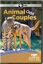 Watch Animal Odd Couples Sockshare