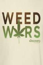 Watch Weed Wars Sockshare