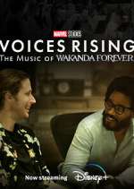Watch Voices Rising: The Music of Wakanda Forever Sockshare