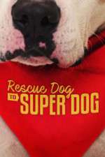 Watch Rescue Dog to Super Dog (US) Sockshare