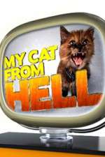 Watch My Cat from Hell Sockshare
