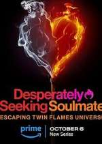Watch Desperately Seeking Soulmate: Escaping Twin Flames Universe Sockshare