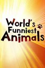Watch The World\'s Funniest Animals Sockshare