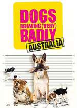 Watch Dogs Behaving (Very) Badly Australia Sockshare