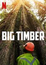 Watch Big Timber Sockshare