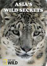 Watch Asia's Wild Secrets Sockshare