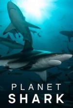 Watch Planet Shark Sockshare