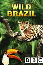 Watch Wild Brazil Sockshare