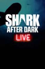 Watch Shark After Dark Sockshare