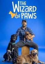 Watch The Wizard of Paws Sockshare