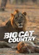 Watch Big Cat Country Sockshare