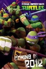 Watch Teenage Mutant Ninja Turtles Sockshare