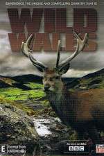 Watch Wild Wales Sockshare