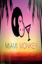 Watch Miami Monkey Sockshare