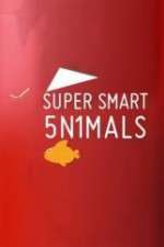 Watch Super Smart Animals Sockshare