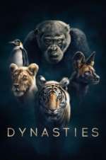 Watch Dynasties Sockshare