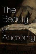 Watch The Beauty of Anatomy Sockshare