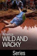 Watch America: Wild & Wacky Sockshare