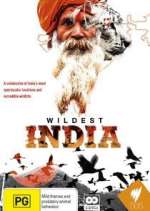 Watch Wildest India Sockshare