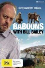 Watch Baboons with Bill Bailey Sockshare