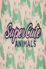 Watch Super Cute Animals Sockshare