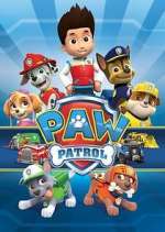 Watch Paw Patrol Sockshare