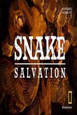 Watch Snake Salvation Sockshare