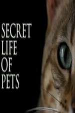 Watch The Secret Life of Pets Sockshare