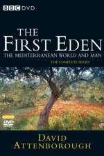 Watch The First Eden Sockshare