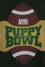 Watch Puppy Bowl Sockshare