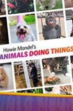 Watch Howie Mandel\'s Animals Doing Things Sockshare